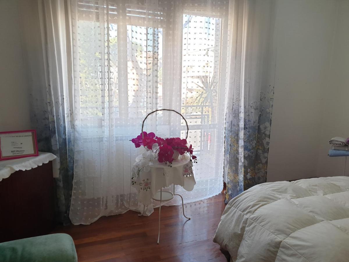 B&B Mary'S Houseチャンピーノ エクステリア 写真